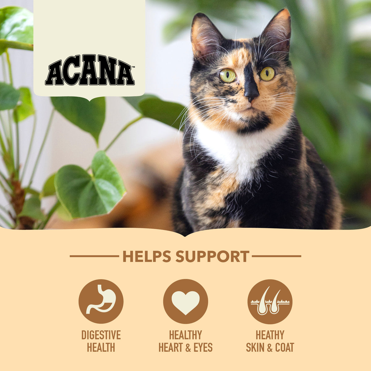TriplePLAY ACANA Homestead Harvest Cat Food 4.5kg