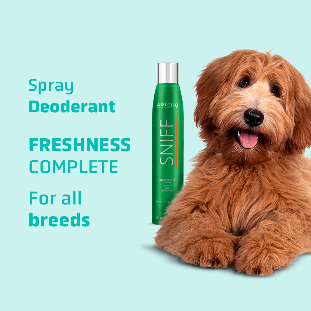 Sniff Body Deodorant 300ml - Odor Remover