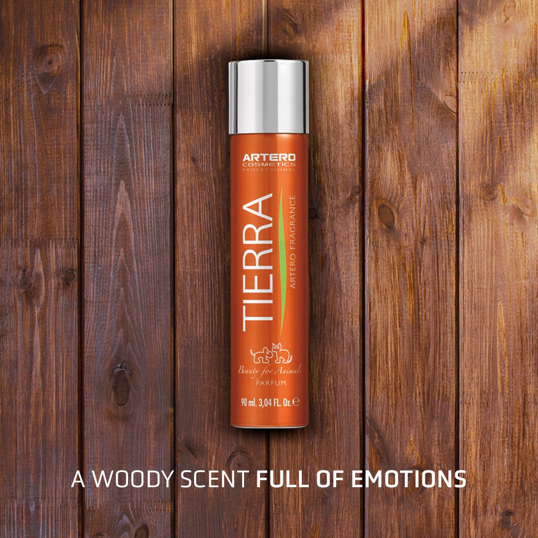 Perfume Tierra 90ml