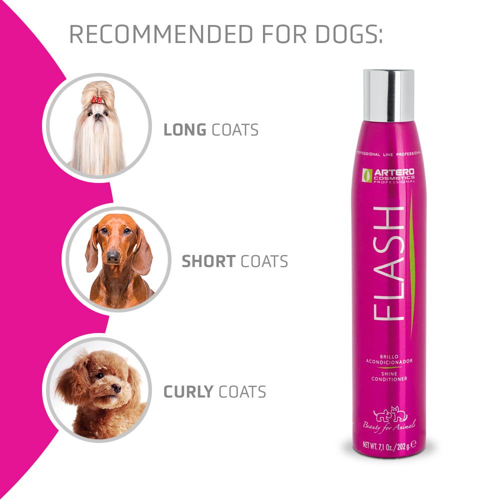 Flash Shine/Conditioning 300ml