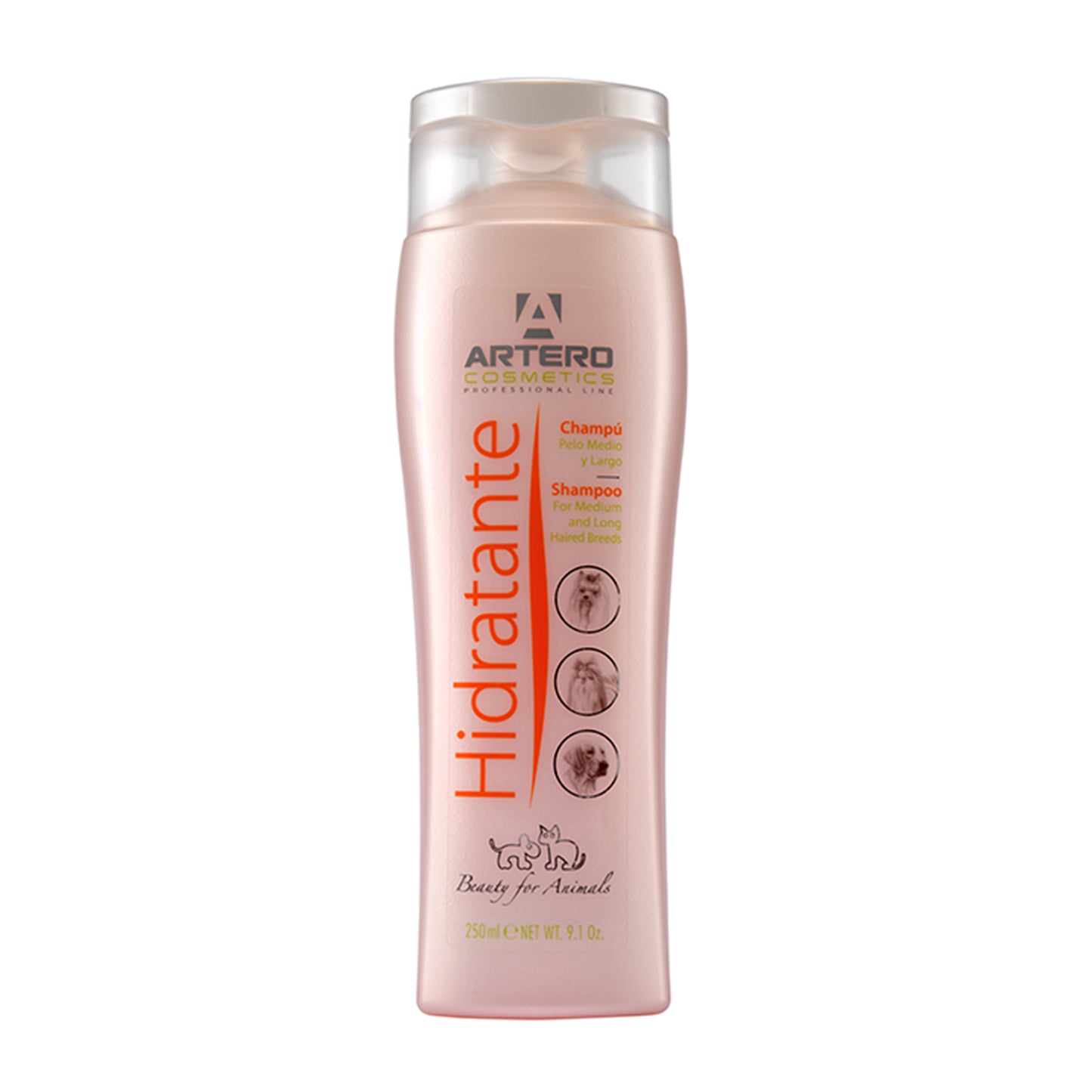Hidratante Moisture Shampoo 250ml