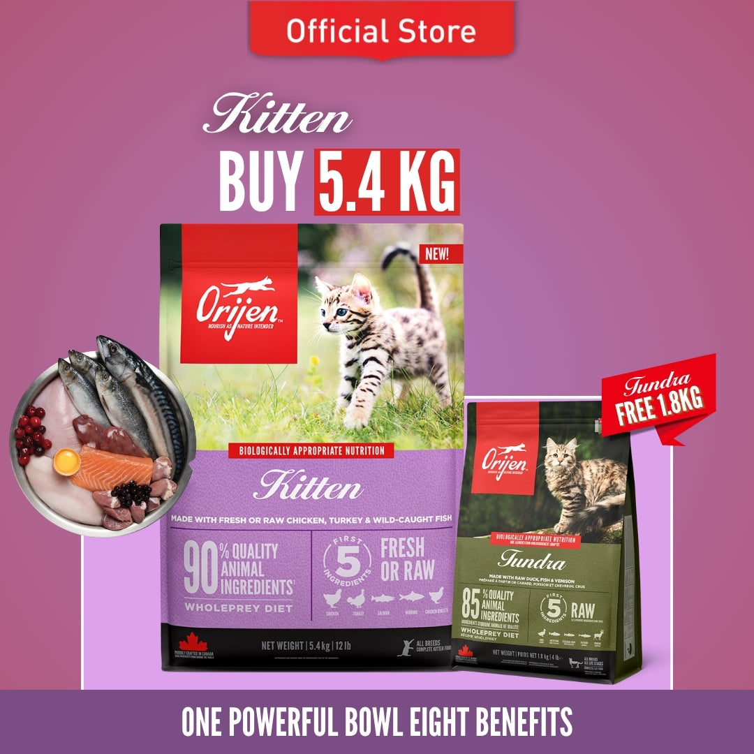 ORIJEN Freeze-Dried Infused Kitten Food 5.4kg + FREE Tundra Cat 1.8kg