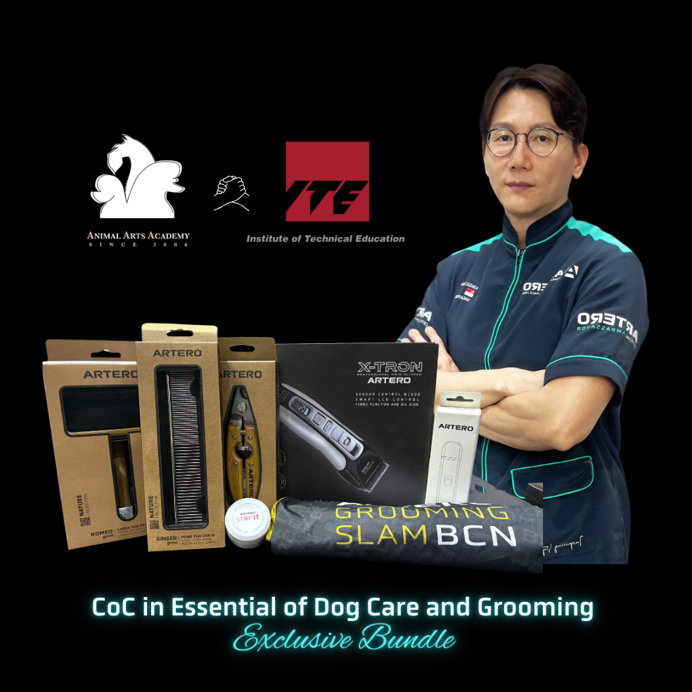 AAA x ITE Basic Dog Grooming Exclusive Bundle
