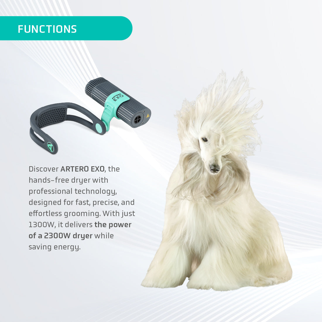Exo Dryer (2 colours)