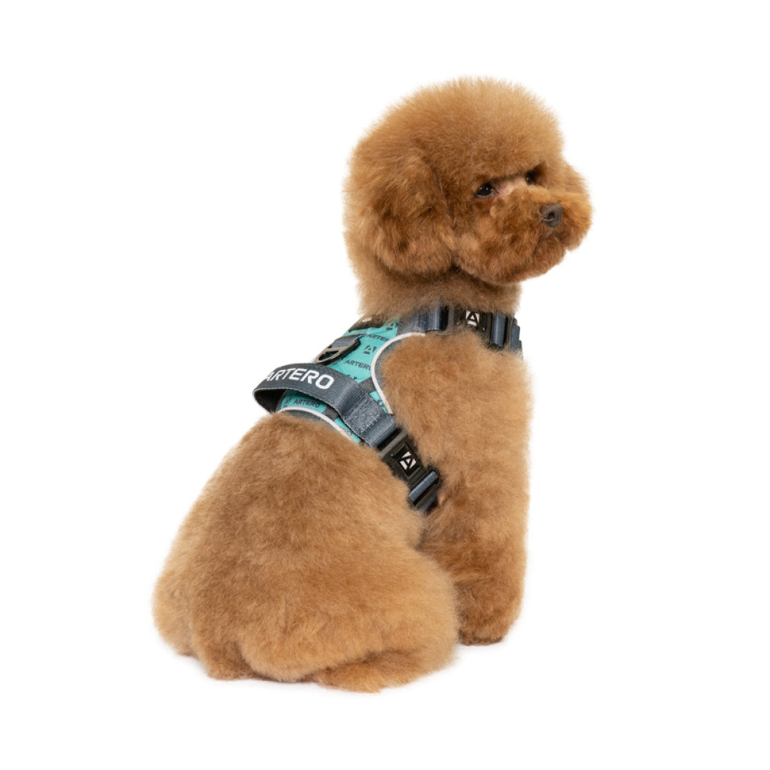 Artero Body Harness ( 3 Sizes )