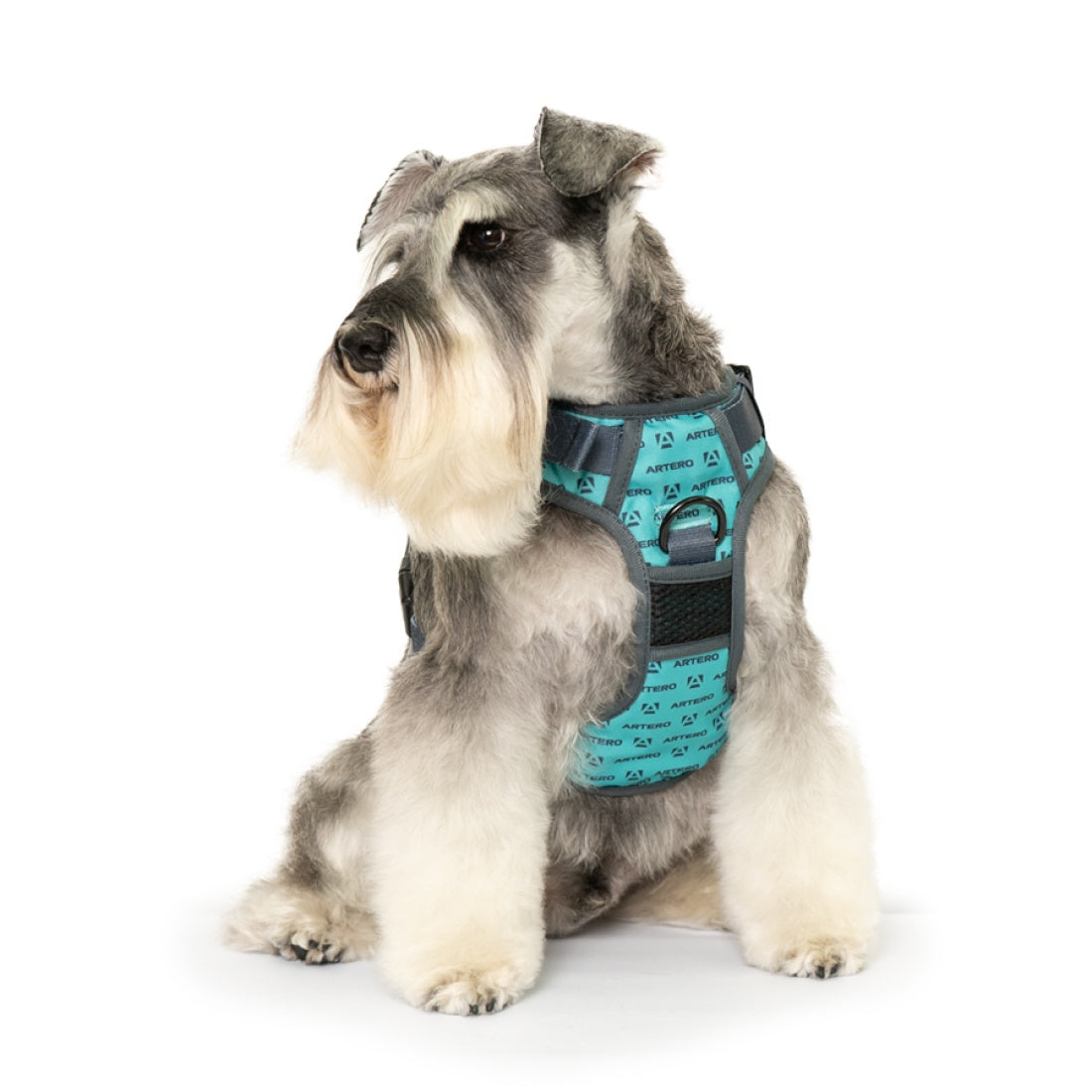 Artero Body Harness ( 3 Sizes )