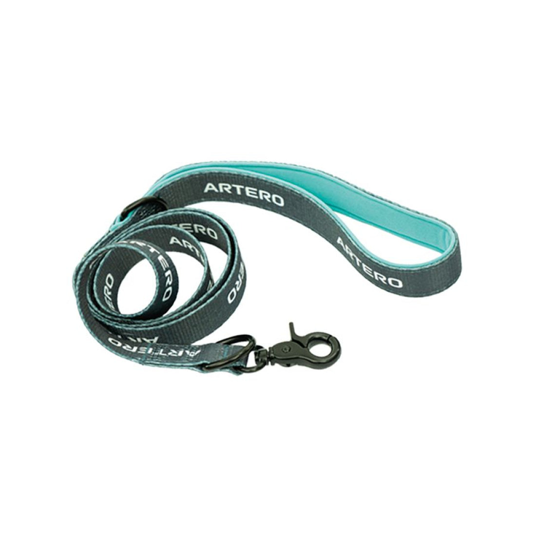 Walking Leash