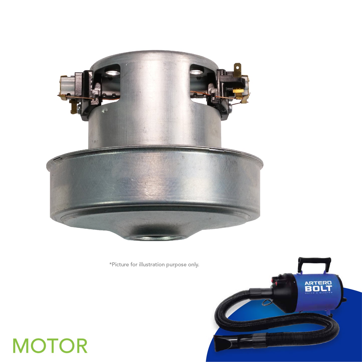 Motor Bolt