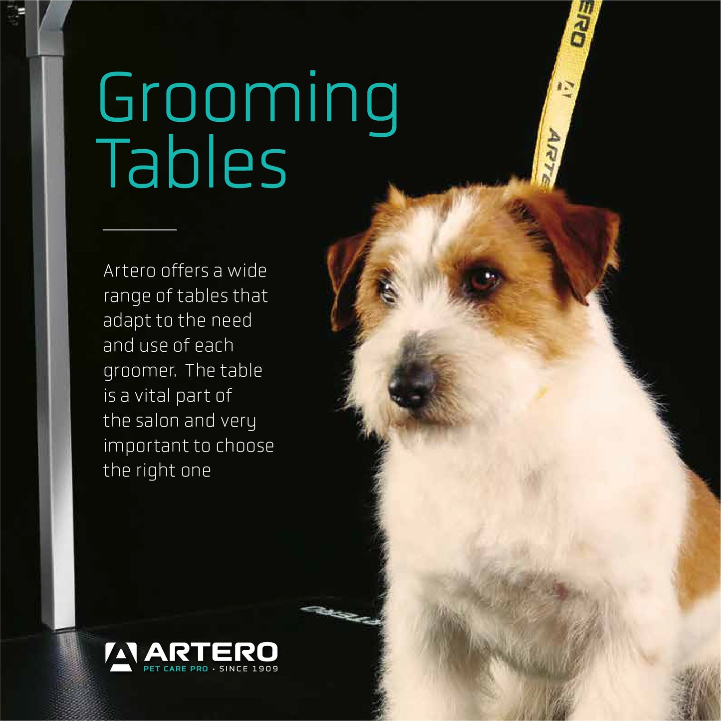 ARTERO Black Table Leash, 50cm
