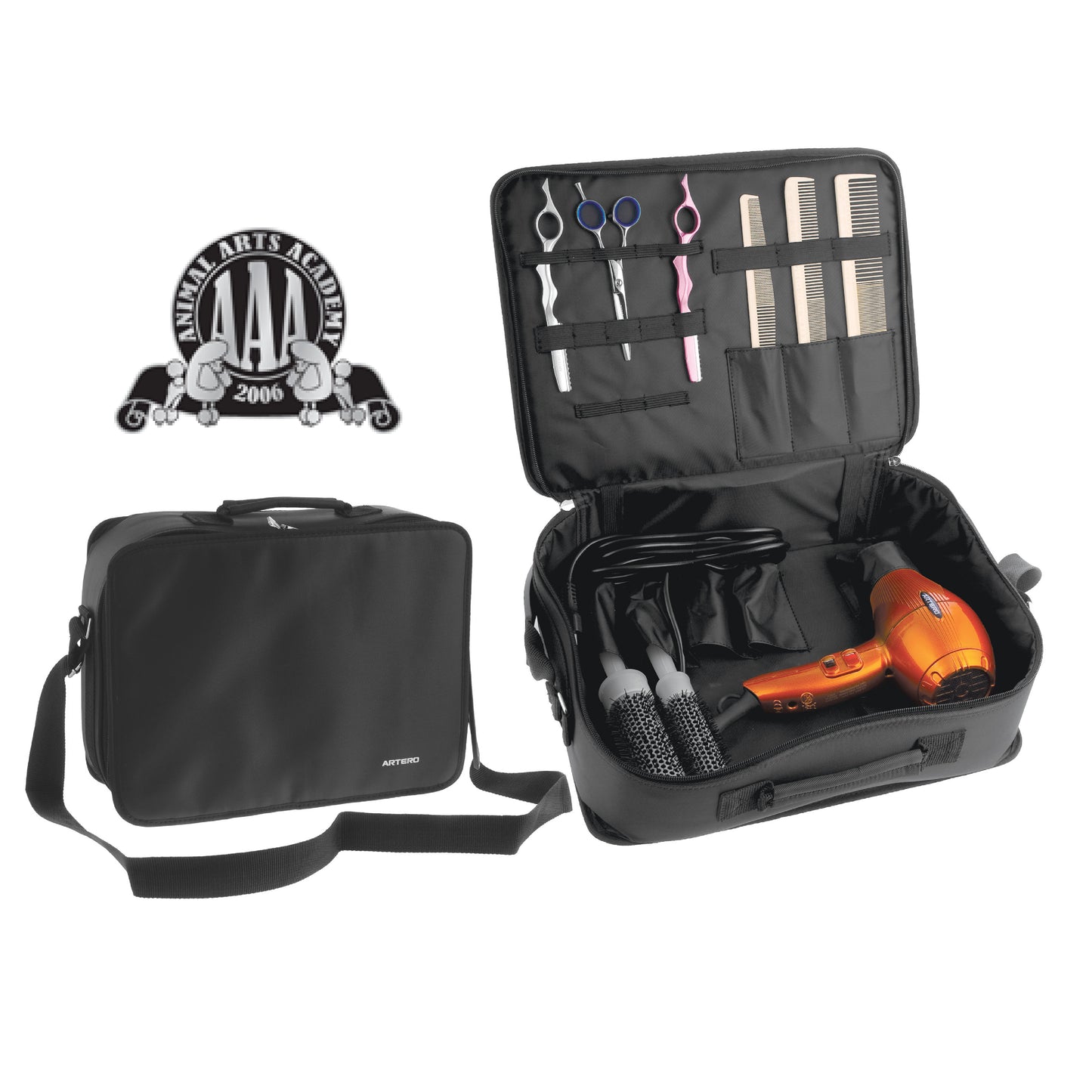 Animal Arts Academy Premium Set - ARTERO Singapore