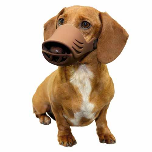 Dog Muzzle - Coffee - ARTERO Singapore
