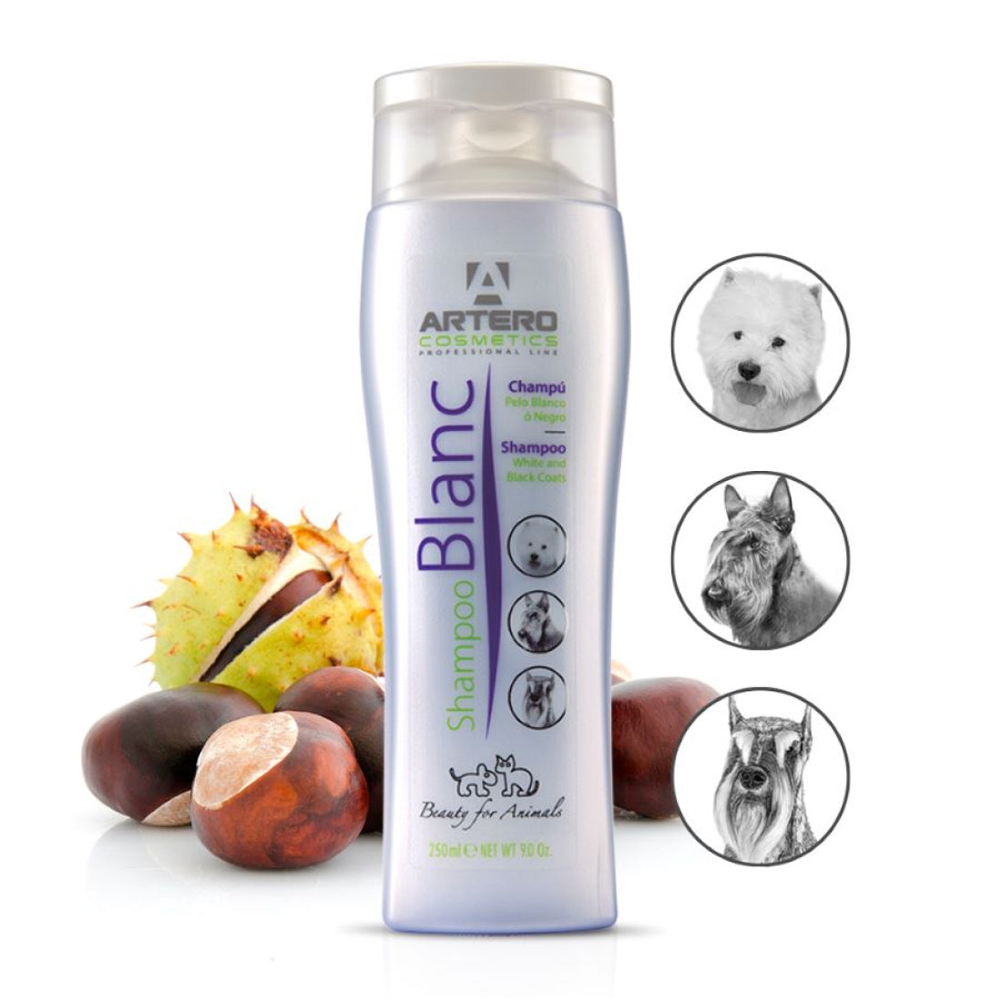 Blanc Shampoo 250ml - ARTERO Singapore