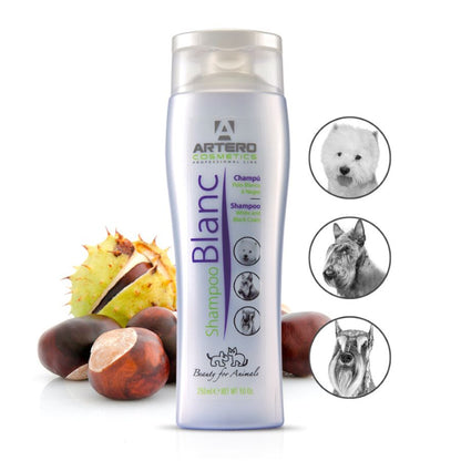 Blanc Shampoo 250ml - ARTERO Singapore