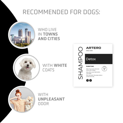 Detox Shampoo 100ml - ARTERO Singapore