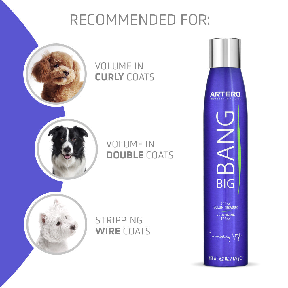 Big Bang Volumizing Spray 300ml - ARTERO Singapore