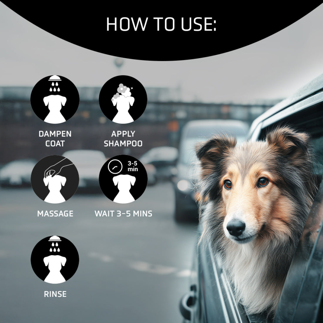 Detox Shampoo 100ml - ARTERO Singapore