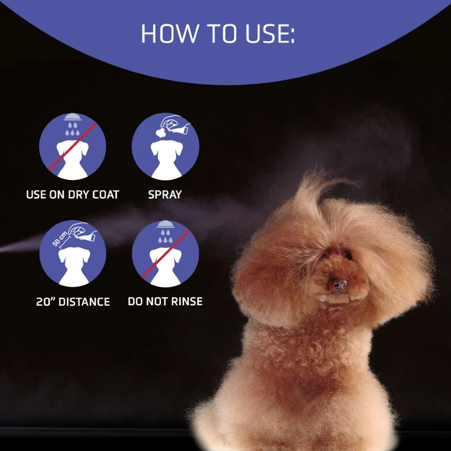 Big Bang Volumizing Spray 300ml - ARTERO Singapore