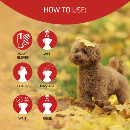 Scarlet Shampoo 300ml (red, brown, chocolate enhancer)