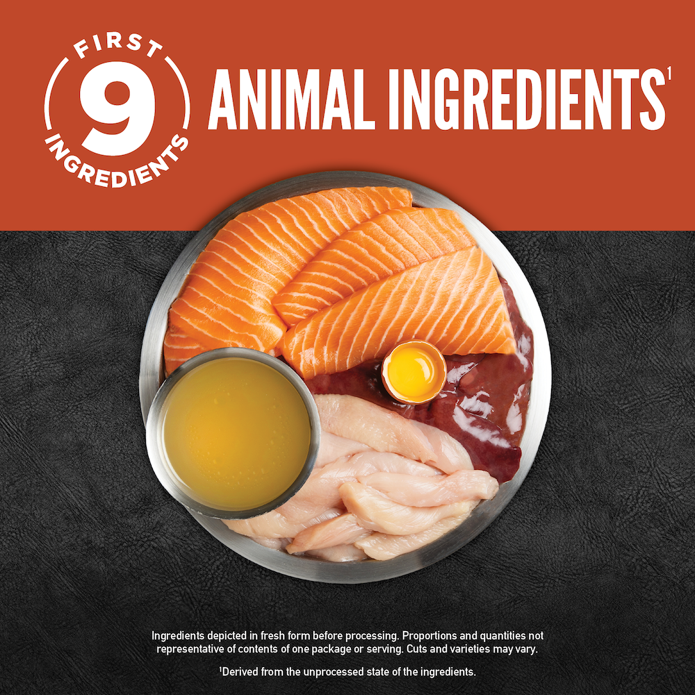 ORIJEN Chunks & Shreds, Salmon & Chicken Entrée