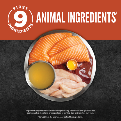 ORIJEN Chunks & Shreds, Salmon & Chicken Entrée