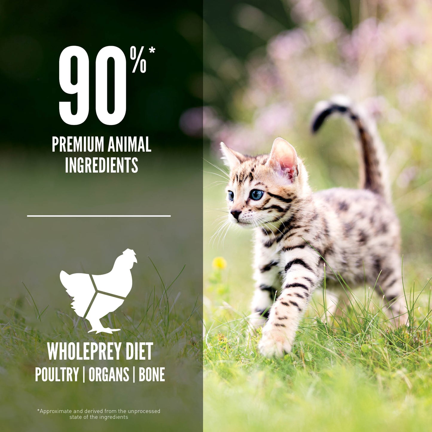 K9SHARE ORIJEN Freeze-Dried Infused Kitten
