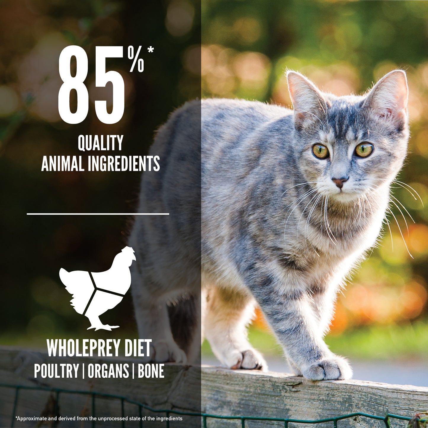 K9SHARE ORIJEN Freeze-Dried Infused Original Cat