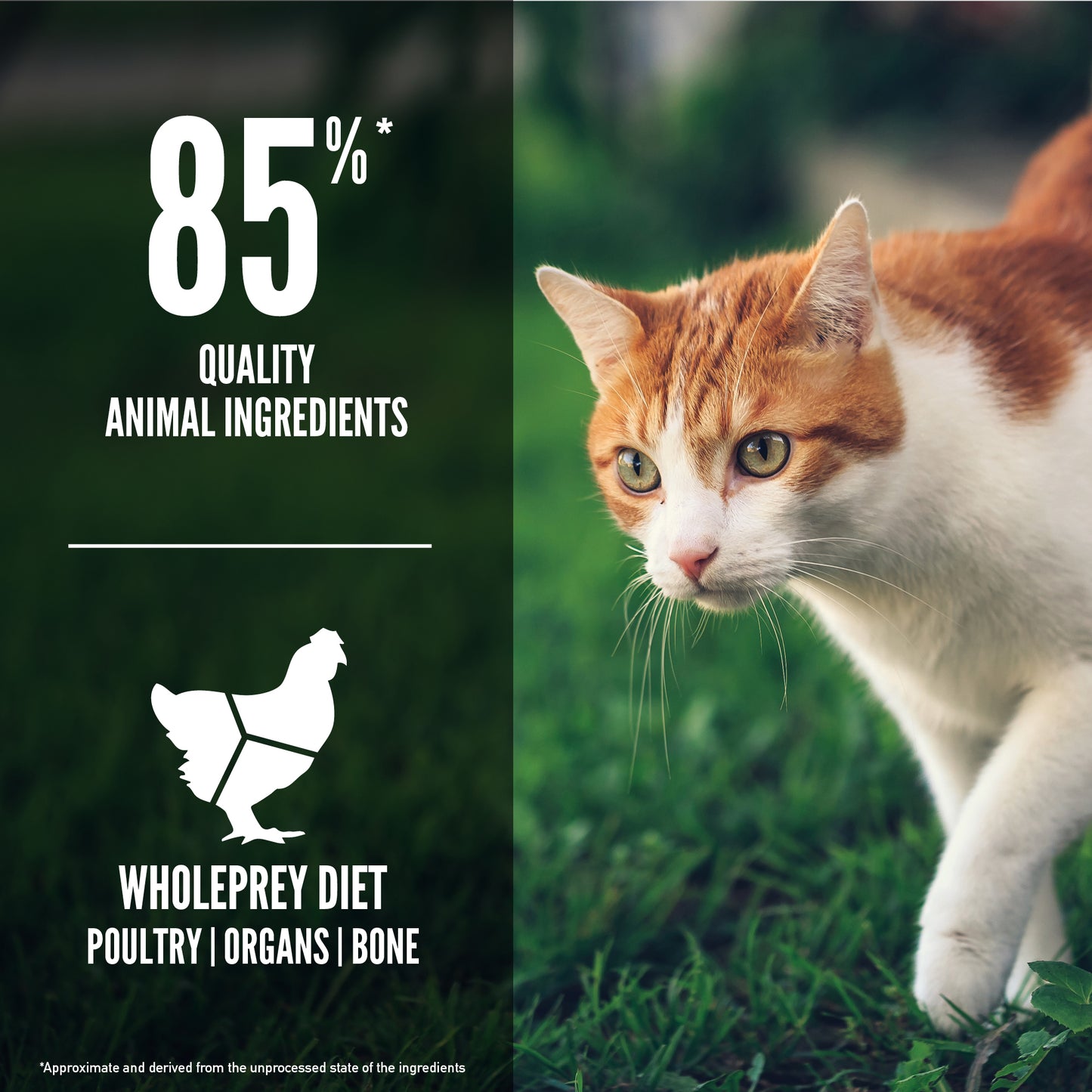 TriplePLAY ORIJEN Freeze-Dried Infused Fit & Trim Cat Food 5.4kg x 3