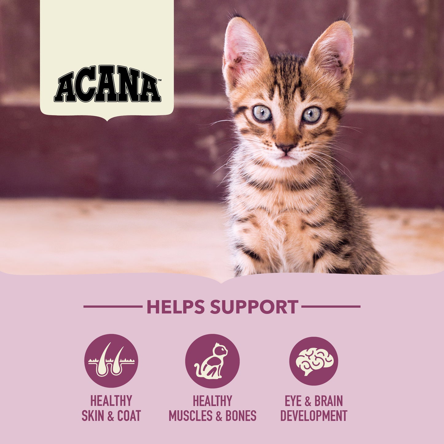K9SHARE ACANA First Feast Cat Food