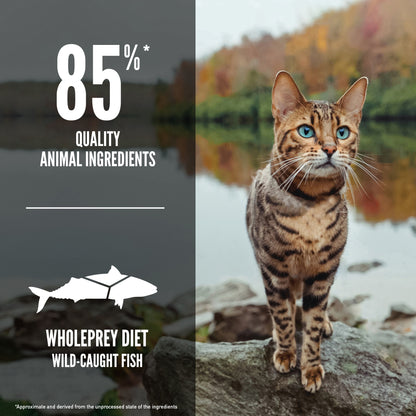 K9SHARE ORIJEN Freeze-Dried Infused Six Fish Cat Food