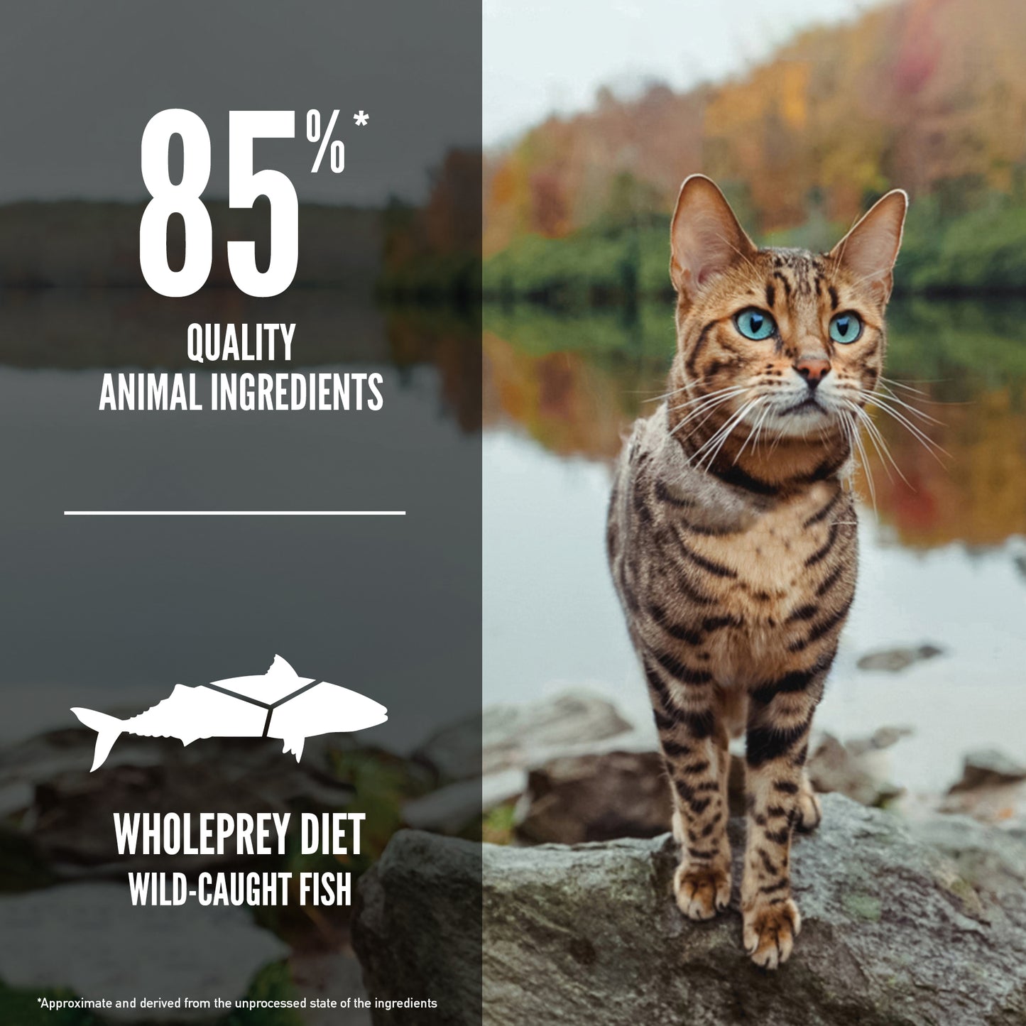 TriplePLAY ORIJEN Six Fish Cat Food 5.4kg x 3