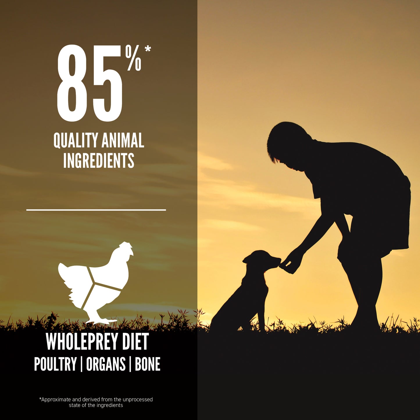 TriplePLAY ORIJEN Freeze-Dried Infused Puppy Small Breed Dog Food