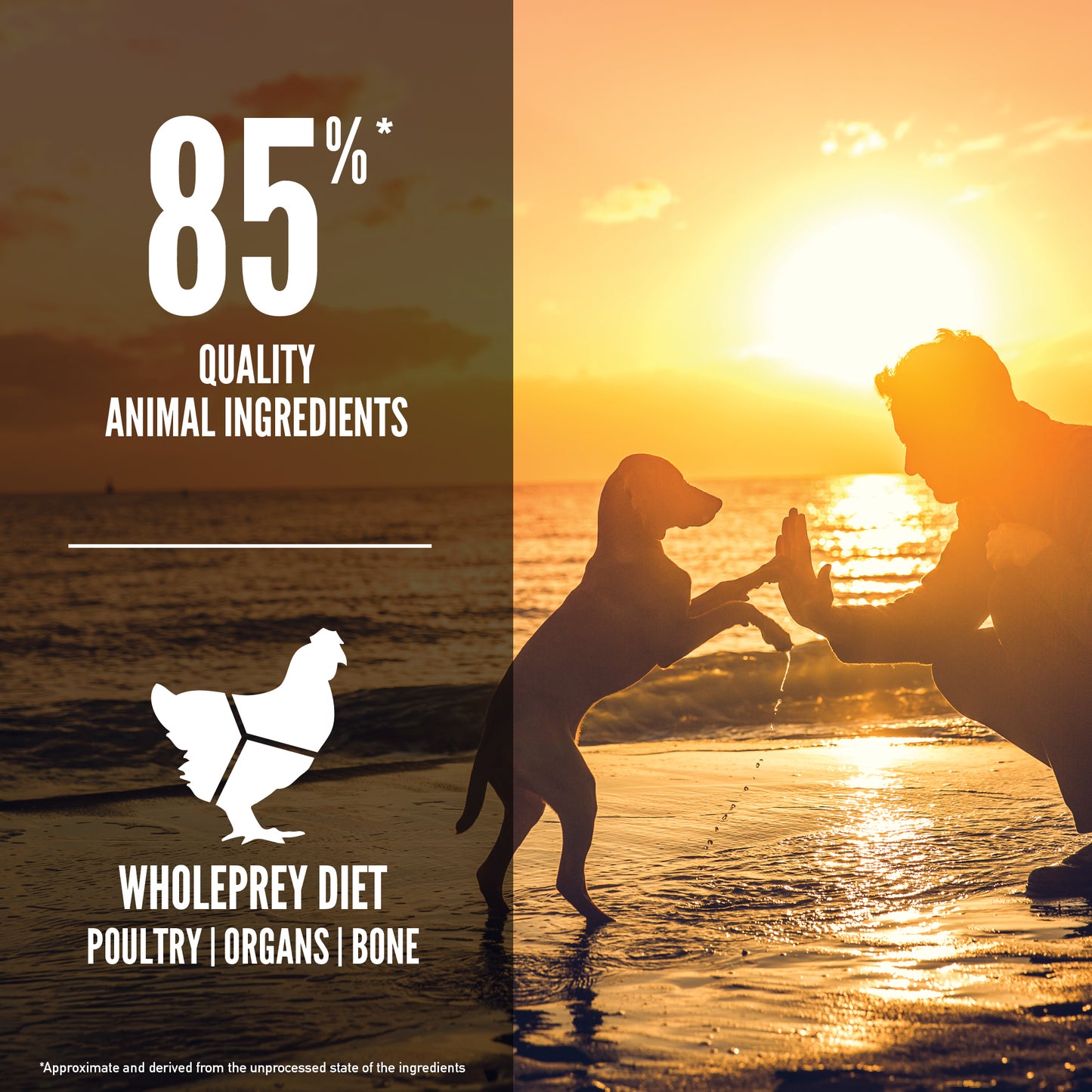 K9SHARE ORIJEN Freeze-Dried Infused Puppy Dog Food