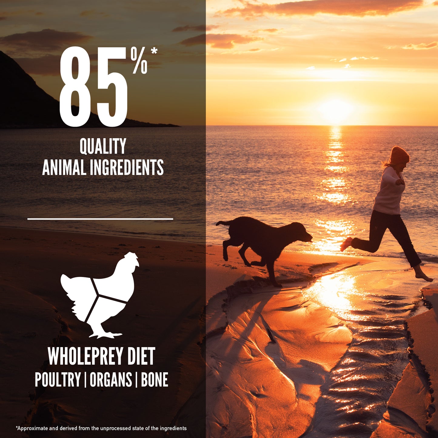 K9SHARE ORIJEN Fit & Trim Dog 2KG