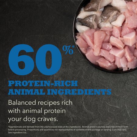 ACANA Freeze-Dried Coated Adult Dog Food