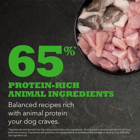 K9SHARE ACANA Freeze-Dried Coated Senior Dog Food