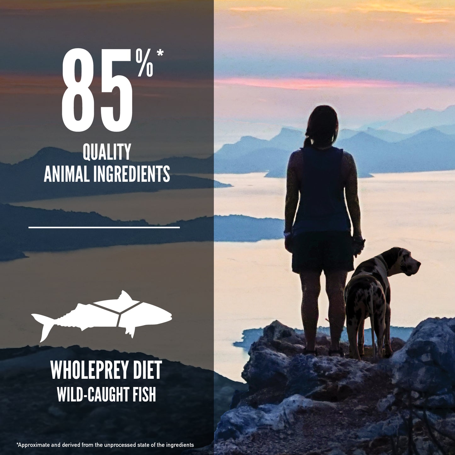 K9SHARE ORIJEN Freeze-Dried Infused Six Fish Dog