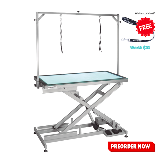 Electric Table LED 120cm