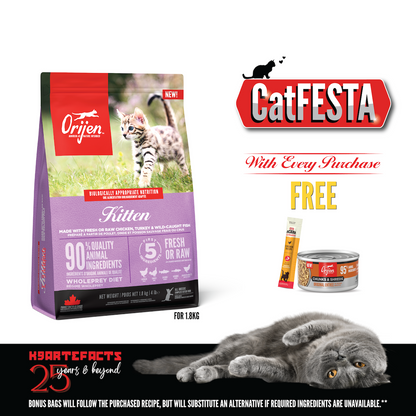 CatFESTA ORIJEN Freeze-Dried Infused Kitten Food