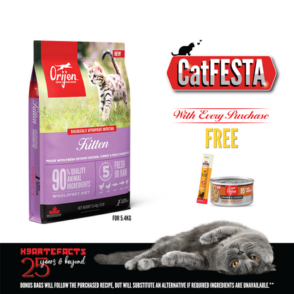 CatFESTA ORIJEN Freeze-Dried Infused Kitten Food