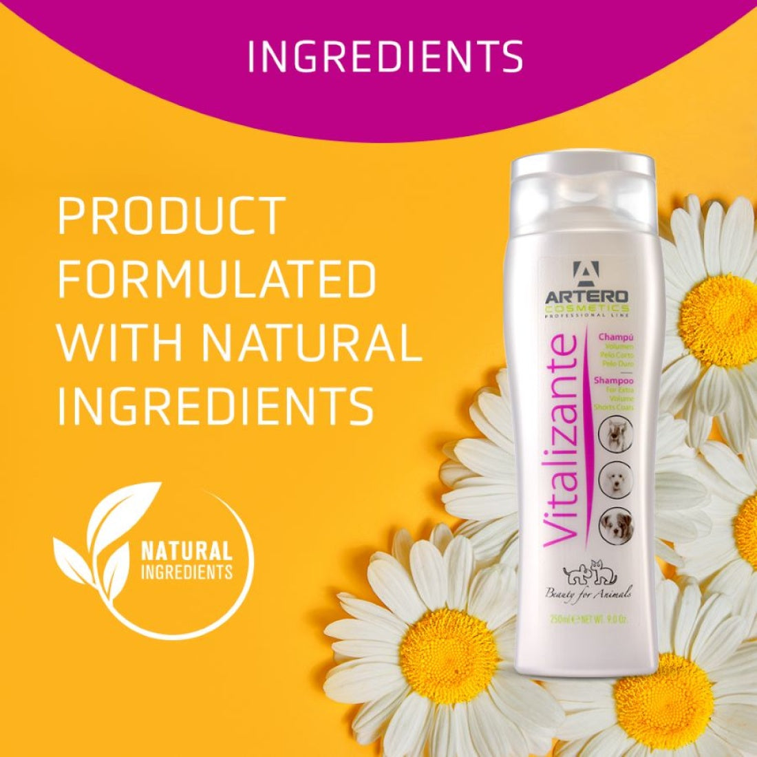 Vitalizante Volume Shampoo 5L