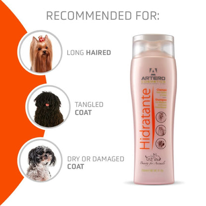 Hidratante Moisture Shampoo 5L