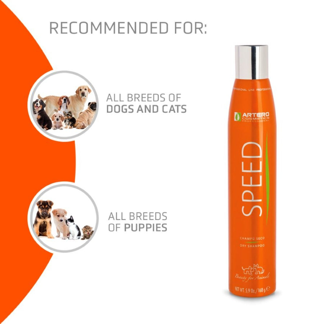 Speed Dry/Whitening Shampoo 300ml