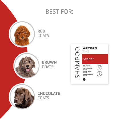 Scarlet Red Shampoo 100ml