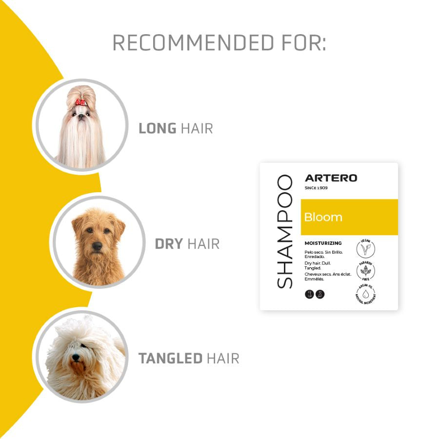 Bloom Shampoo 100ml
