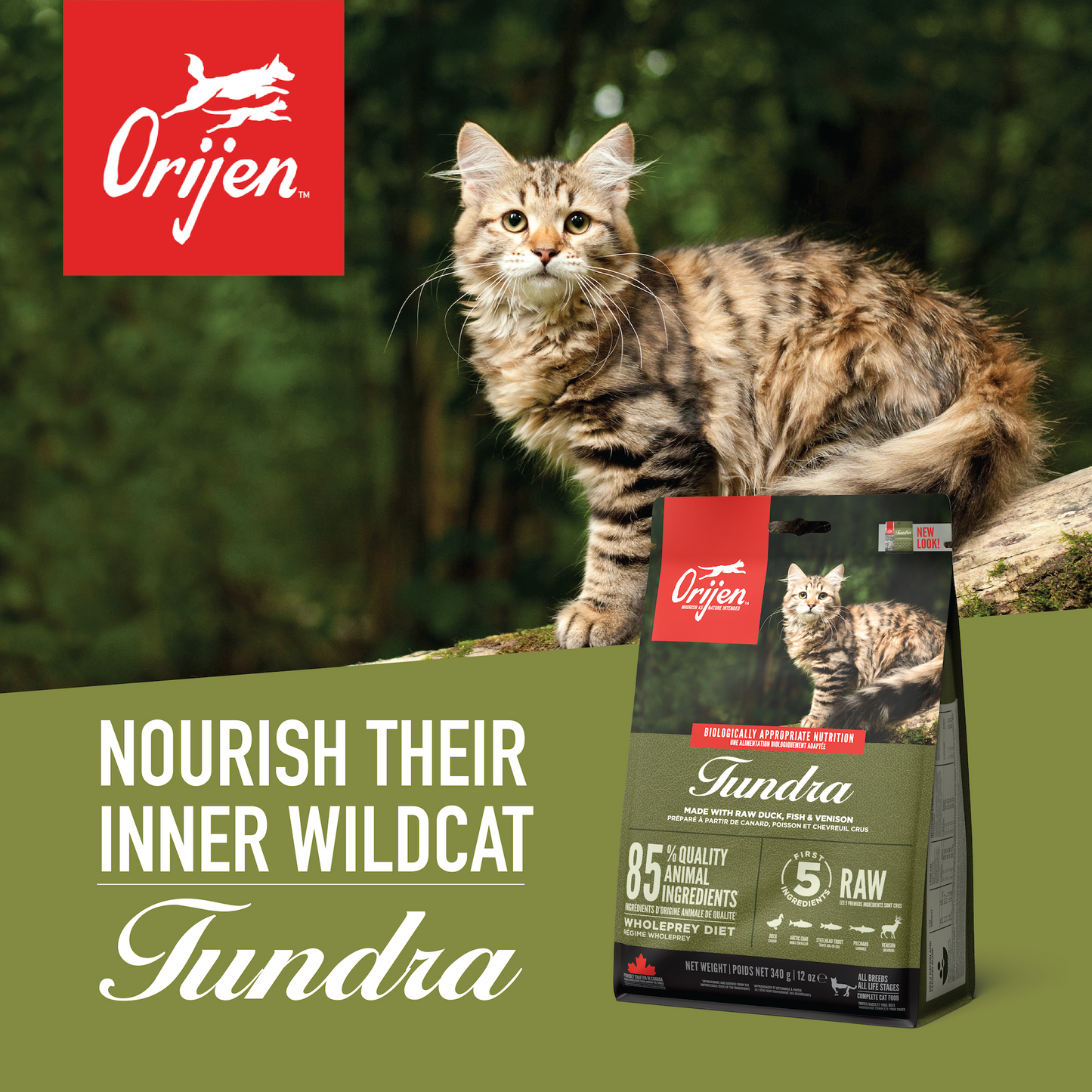 TriplePlay ORIJEN Freeze-Dried Infused Tundra Cat Food 1.8kg x 3