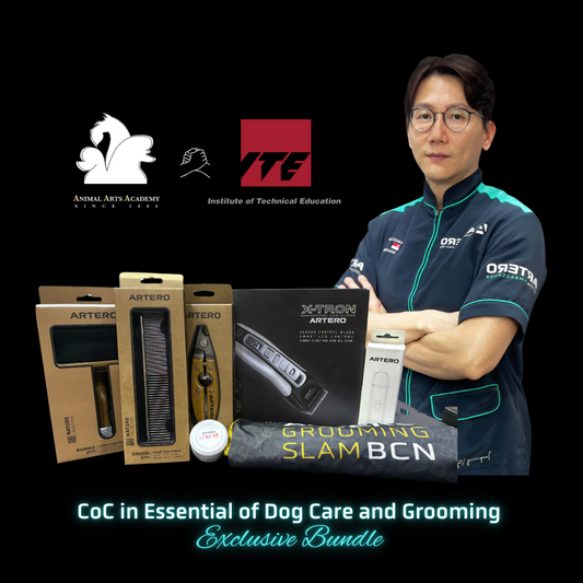 AAA x ITE Basic Dog Grooming Exclusive Bundle