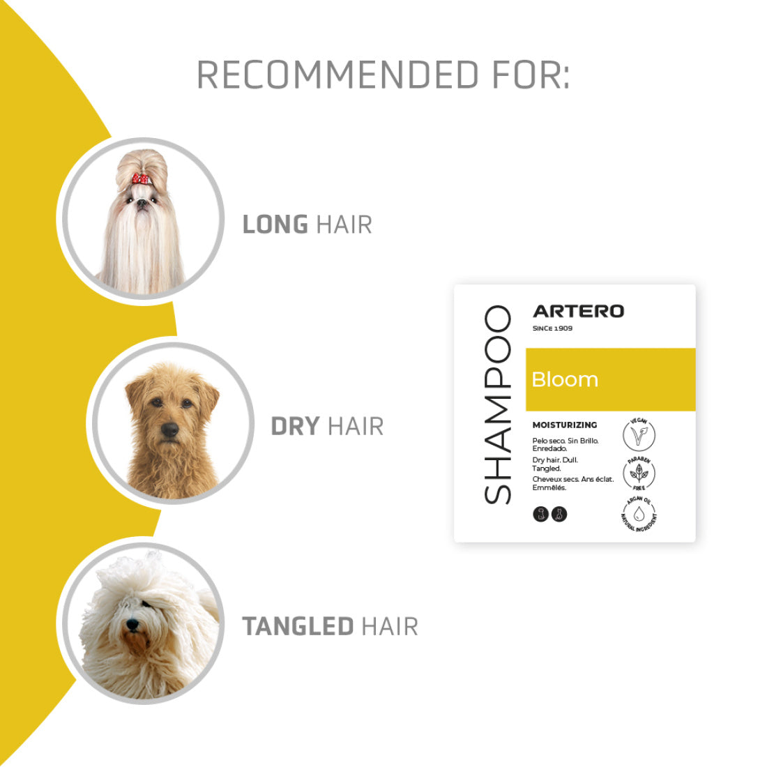 Bloom Shampoo 5L