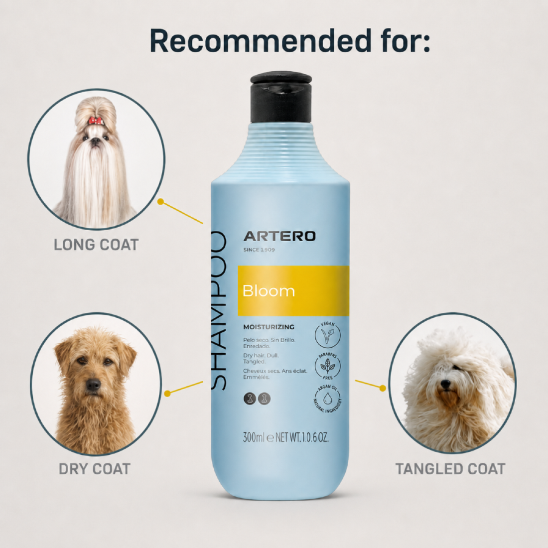 Bloom Shampoo (3Sizes)