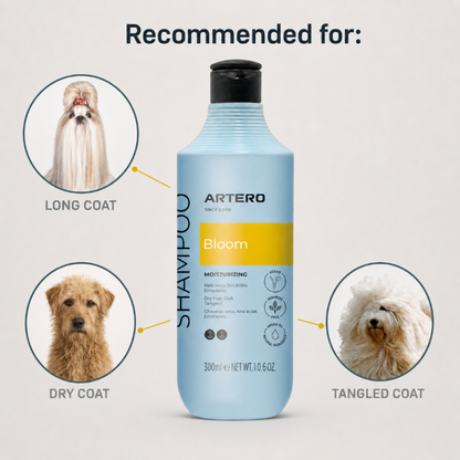 Bloom Shampoo (3Sizes)