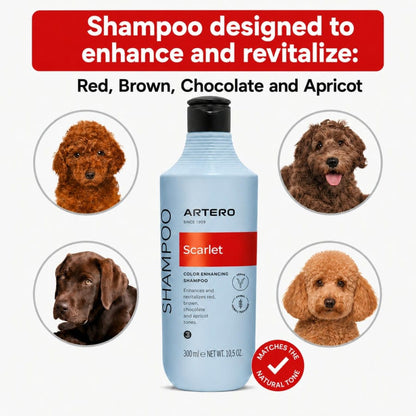 Scarlet Red Shampoo (3Sizes)